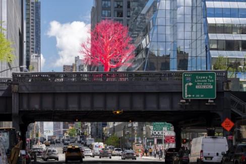 نصب-درخت-پیر-صورتی-اثر-هنرمند-سویسی-در-نیویورک